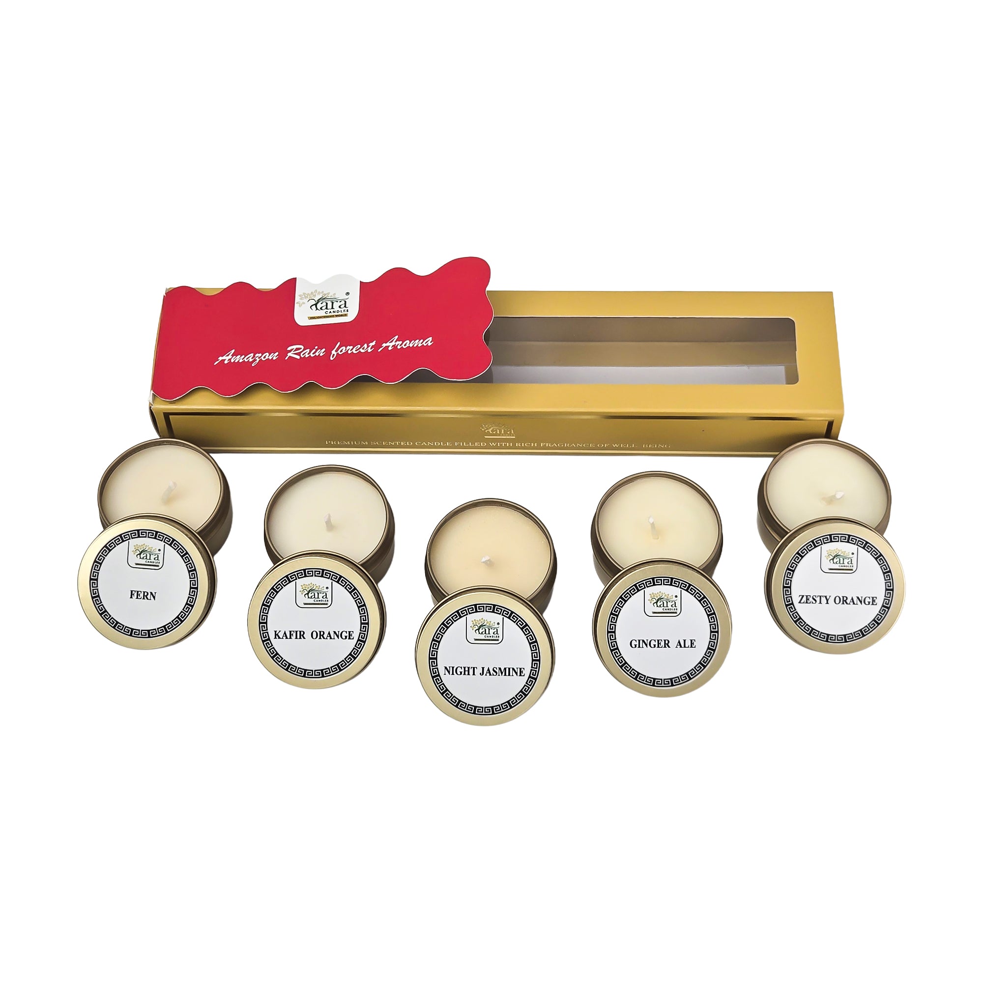 Amazon Rainforest Aroma Collection - 2 | Scented Tin Candle | Set of 5 | Single Wick