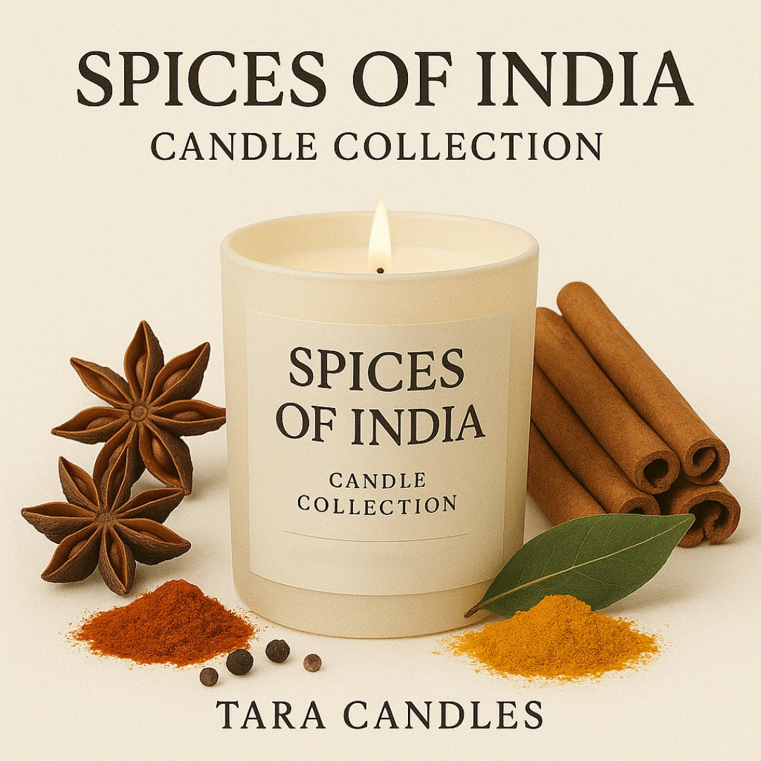Dalchini - 1 Wick Scented Candle - Frosted Container - Tara Candles

