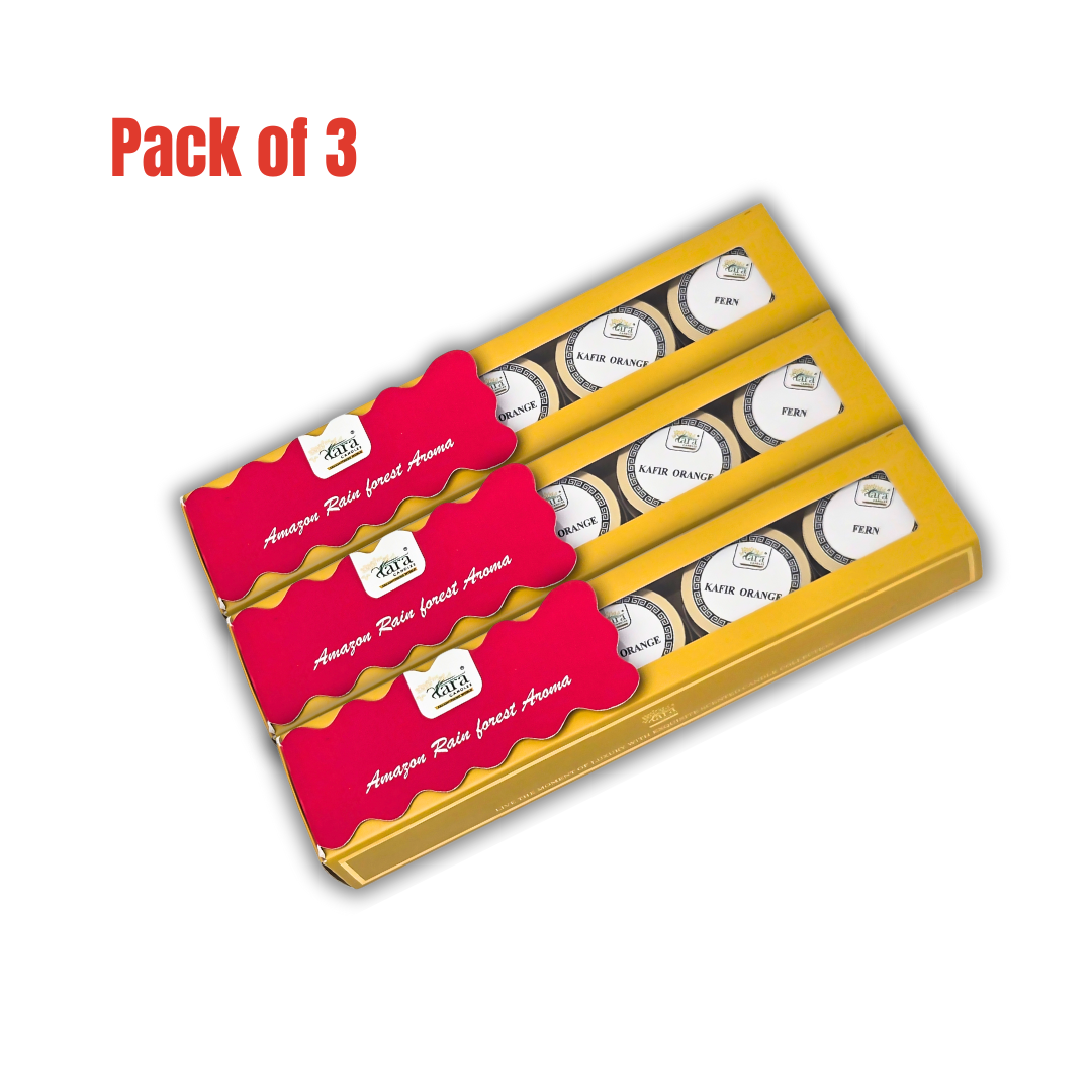 Amazon Rainforest Aroma Collection - 2 | Scented Tin Candle | Set of 5 | Single Wick