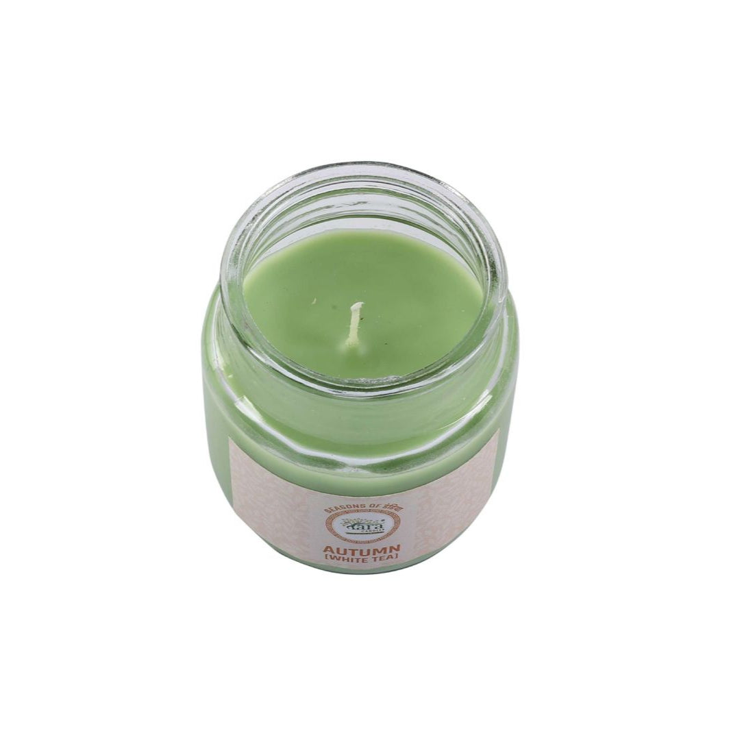 Autumn White Tea - 1 Wick Scented Candle - Irish Glass Jar - Tara Candles
