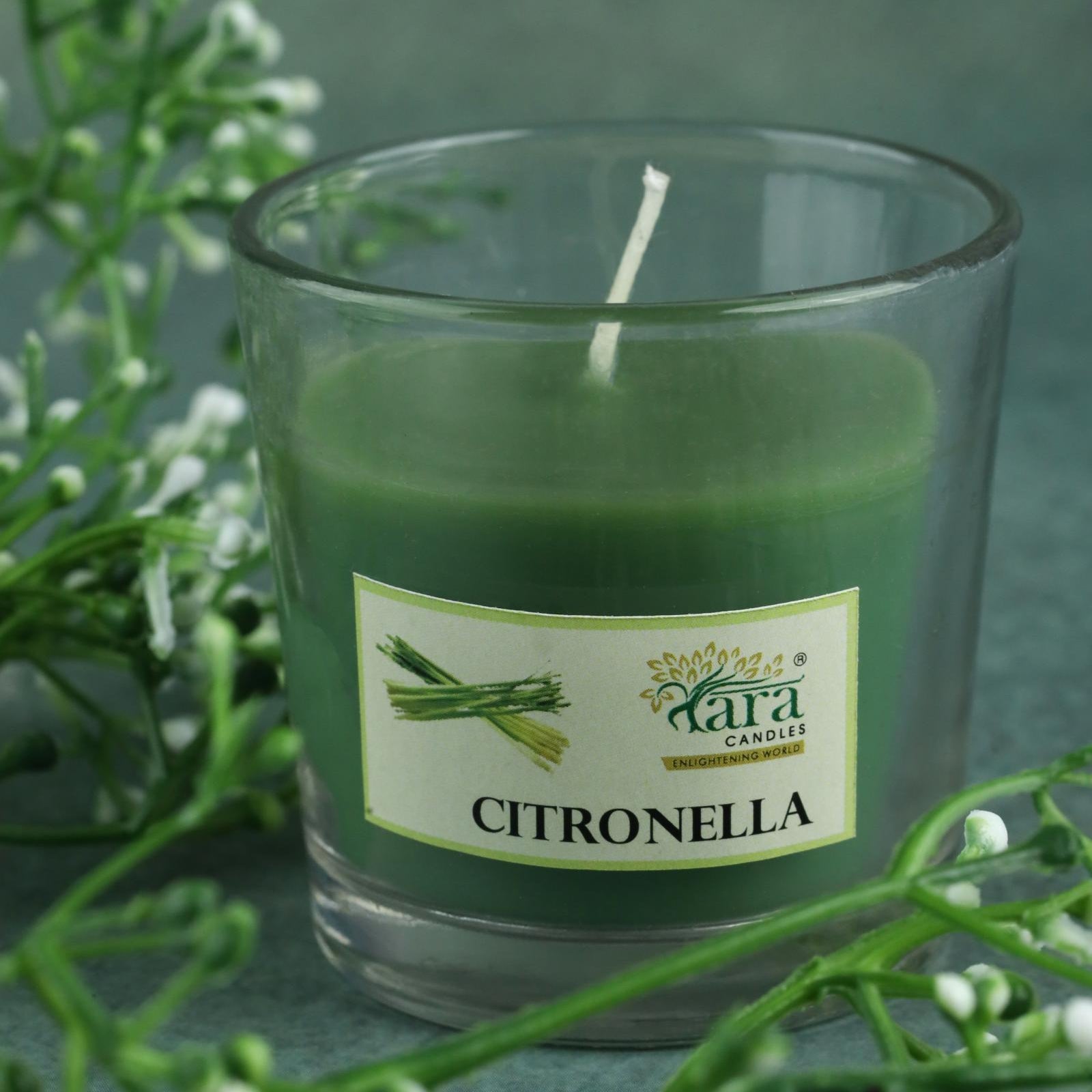 Citronella - 1 Wick Scented Candle - Plain Glass Jar - Tara Candles
