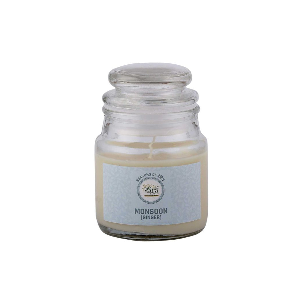 Monsoon Ginger - 1 Wick Scented Candle - Irish Glass Jar - Tara Candles
