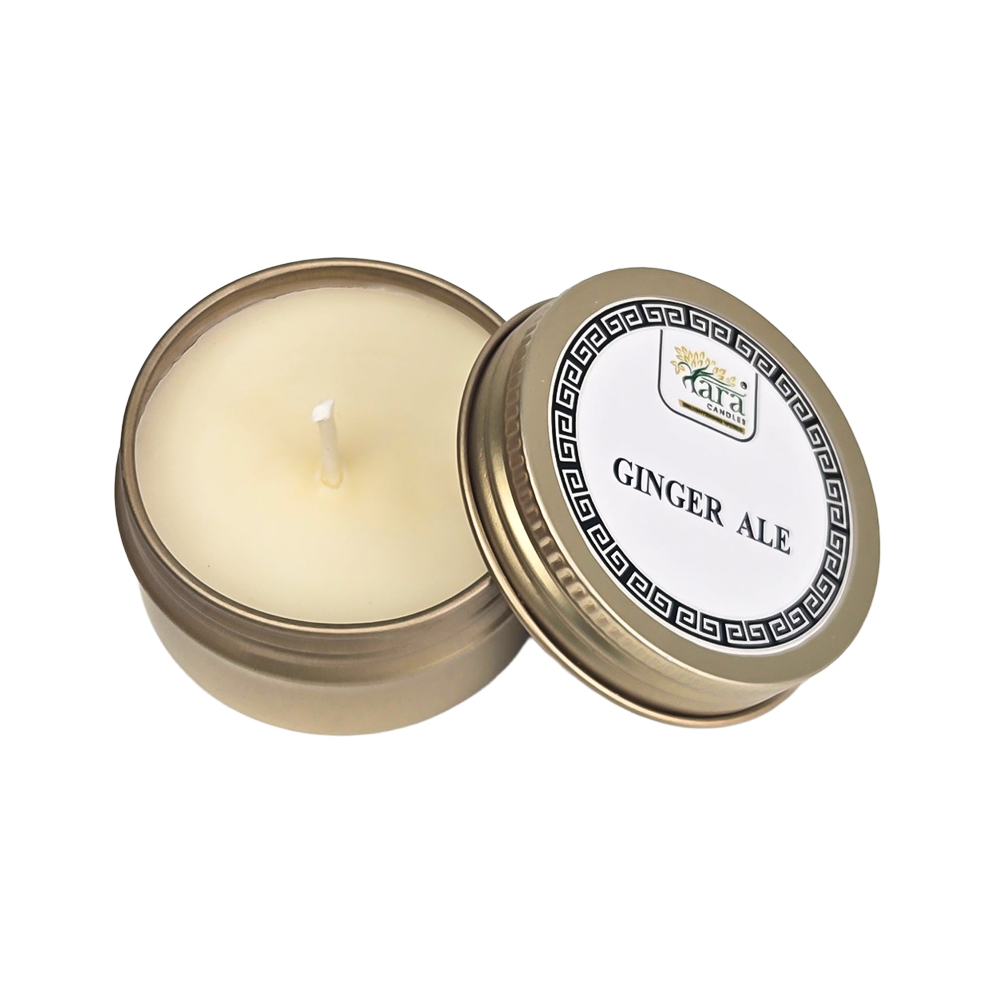 Amazon Rainforest Aroma Collection - 2 | Scented Tin Candle | Set of 5 | Single Wick