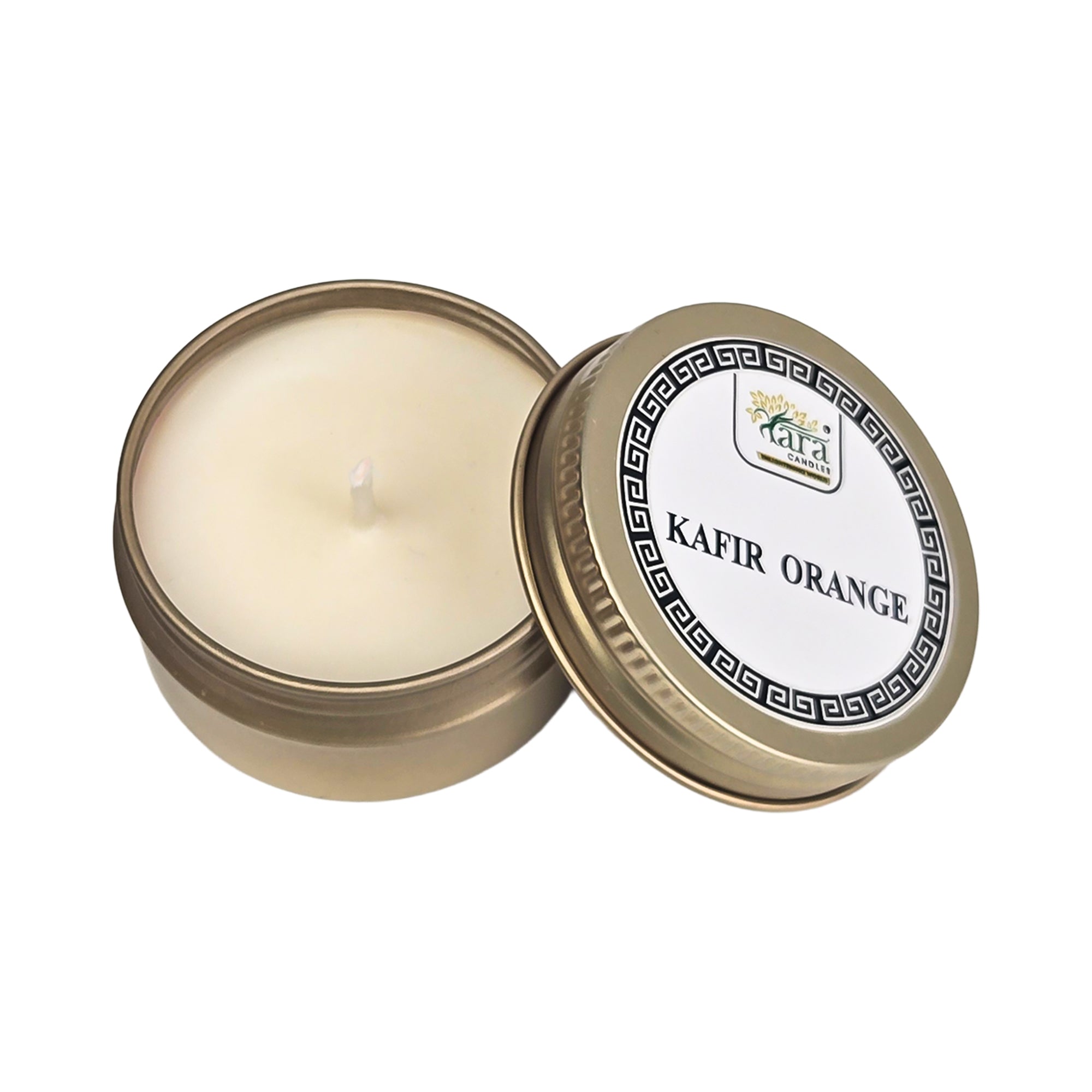 Amazon Rainforest Aroma Collection - 2 | Scented Tin Candle | Set of 5 | Single Wick