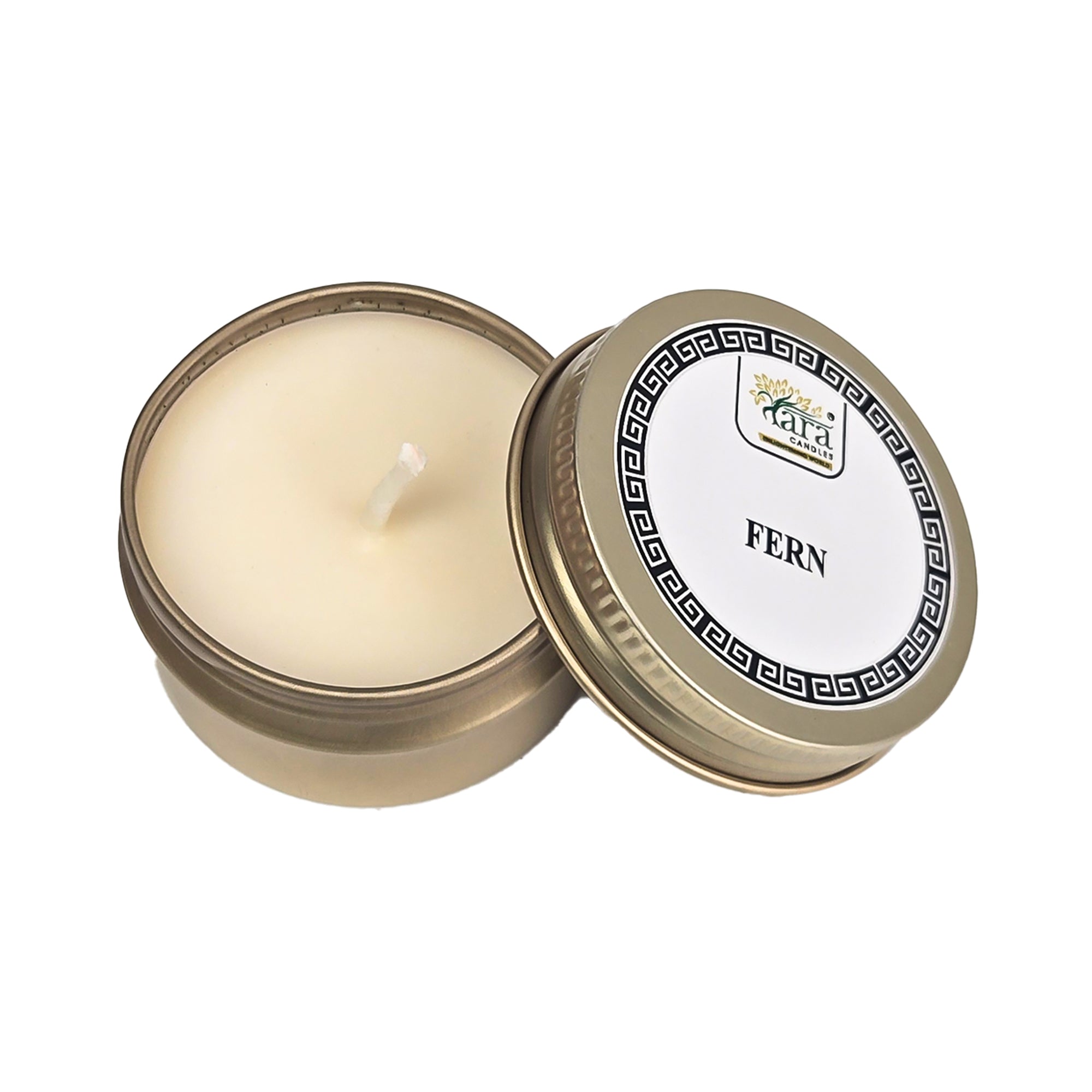 Amazon Rainforest Aroma Collection - 2 | Scented Tin Candle | Set of 5 | Single Wick