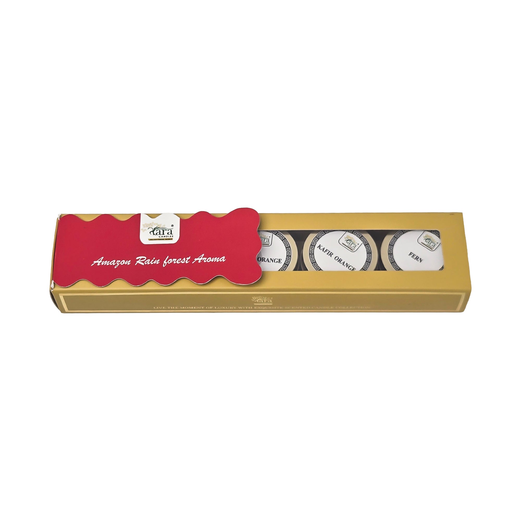 Amazon Rainforest Aroma Collection - 2 | Scented Tin Candle | Set of 5 | Single Wick