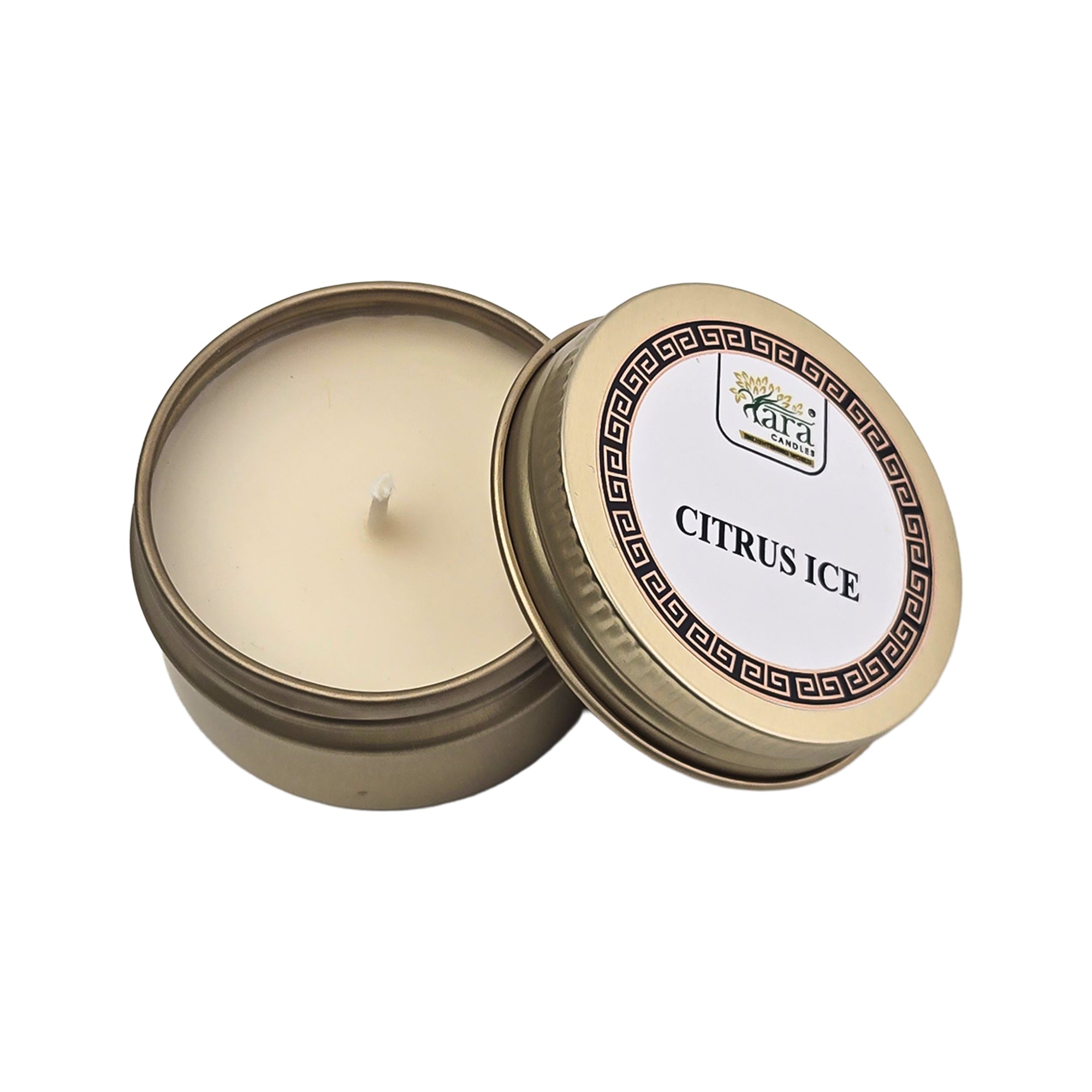 Palm Beach Aroma Collection | Scented Tin Candle | Set of 5 | Single Wick